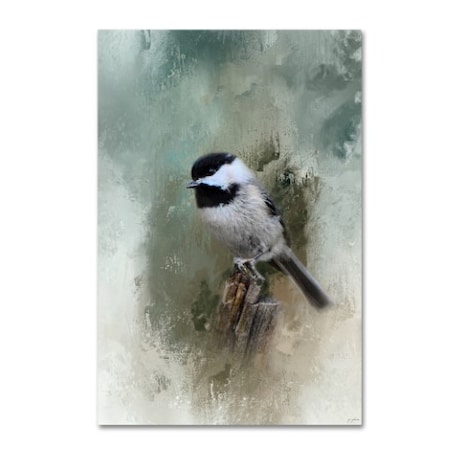 Jai Johnson 'Winter Chickadee' Canvas Art,16x24